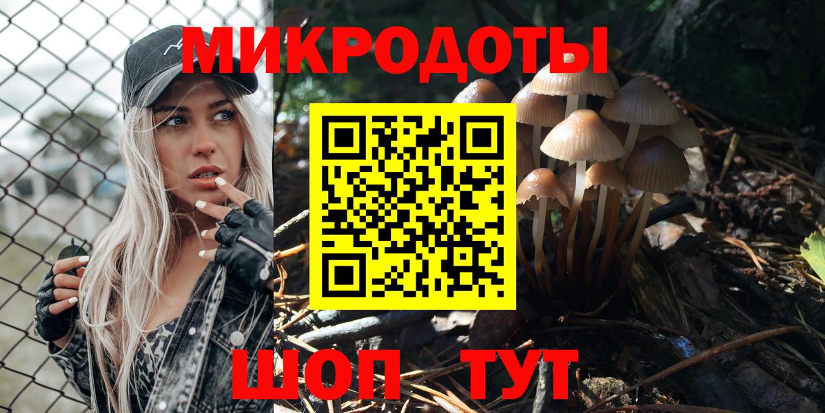 Псилоцибиновые грибы Psilocybe  Галлюциногенные грибы Psilocybine cubensis  Горячий Ключ  Вход с VPN 