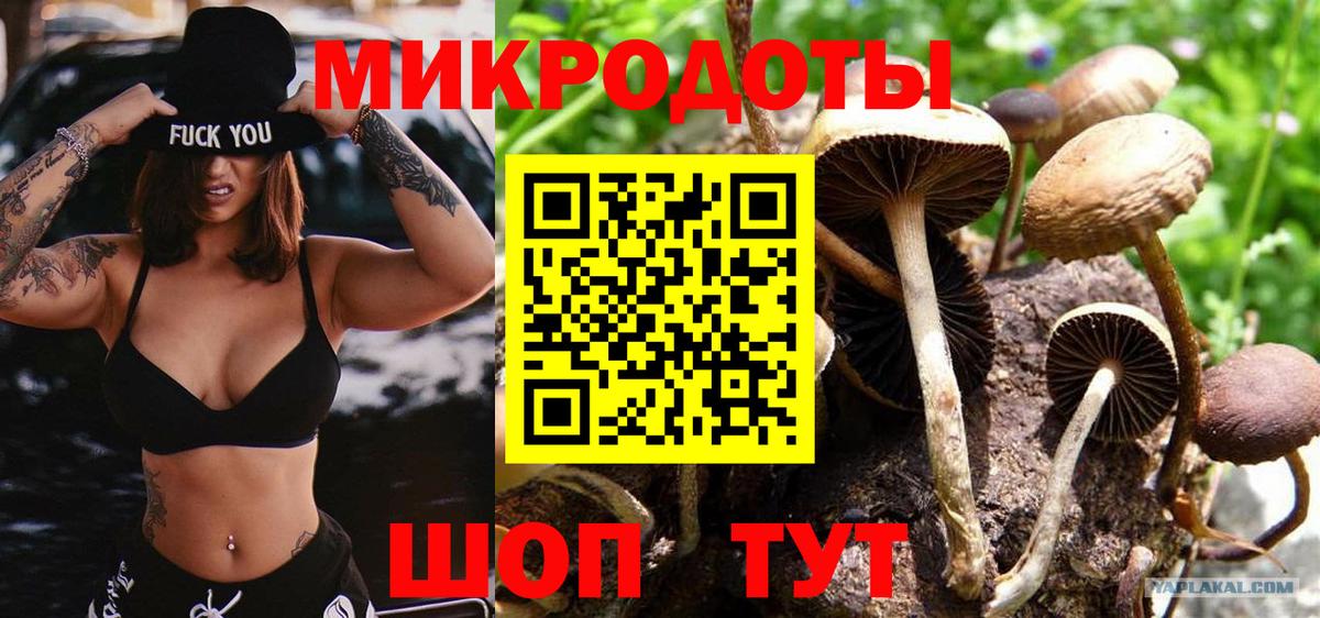Псилоцибиновые грибы мухоморы Горячий Ключ